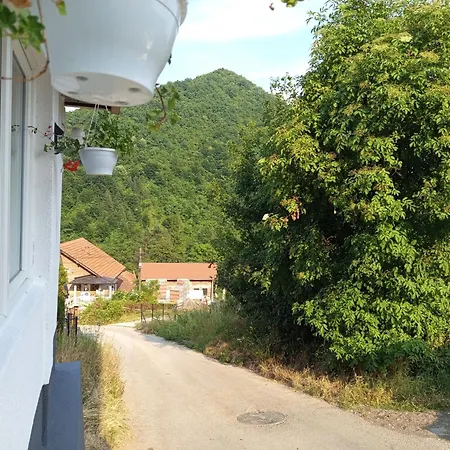 Emma * Visoko